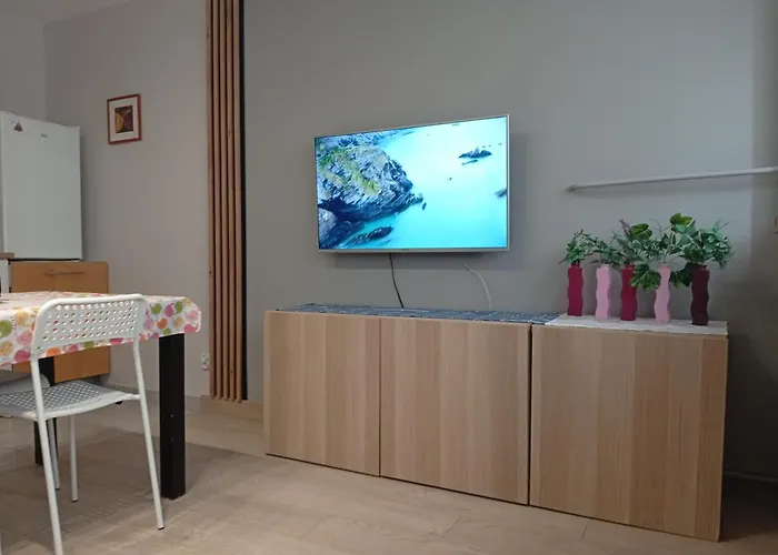 Apartament Zacisze 2 big 4U